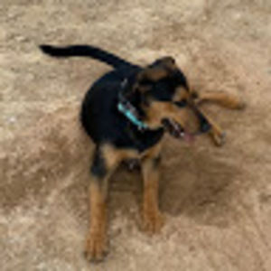 Meet your Posher, Christopher